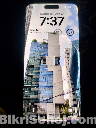 iPhone 14 Pro Max
